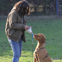 Hadiye Schulte - Einzeltraining