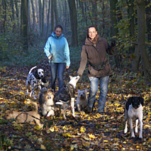 Hundebetreuung