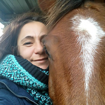 Clickertraining mit Pferden